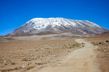 Snow on top of Mount Kilimanjaro. Tanzania.