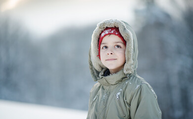 portrait of a handsome boy with a winter idyll in the background