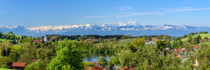 Fototapeta premium Frühlingshaftes Alpenvorland am Bodensee nördlich von Lindau