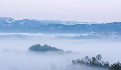 Obraz na płótnie Canvas spring scenery,morning foggy landscape in northeastern Bosnia