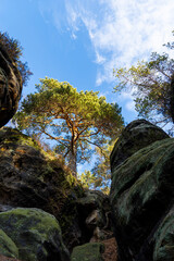 Wandern in der Sächsischen Schweiz - Gohrisch Berg 3