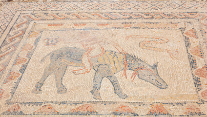 Beautiful mosaic in Volubilis site,  Morocco