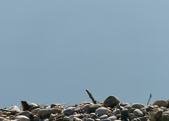 Close-up photo of stones by the lakeshore for background (copy space)