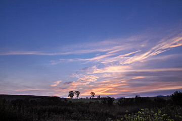 朝焼けとポプラ並木(美瑛町）