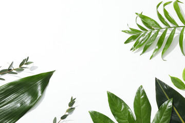 Concept of summertime, leaves, summer and nature concept