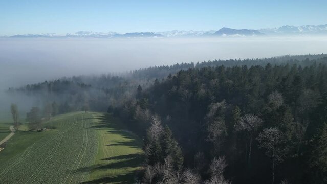 Flying over a forrest toward the fog in central Switzerland with mountains in the background.