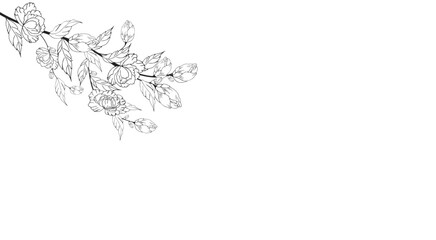 Fototapeta na wymiar Delicate floral background, luxurious blooming branch, frame, border, with delicate flowers and branches of buds. Contour hand drawing. Engraving. With space for text