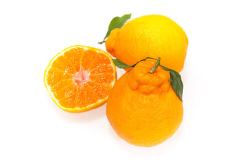 hanrabong jeju citrus fruit