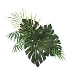 Tropic Composition leaves Monstera, palm watercolor isolated on white. Watercolor hand drawn botanical llustration