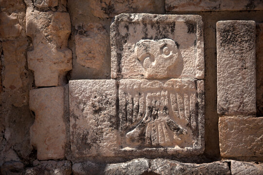 A stone relief with the image of a Guacamaya decorates a temple in the Mayan city of Uxmal, Yucatan Peninsula, Mexico