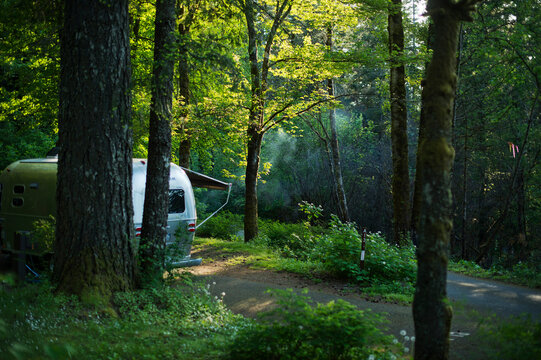 Camper trailer in forest