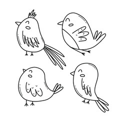 Set of birds in doodle style. Vector illustration. Collection of spring birds. Linear style.