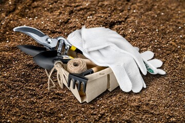 Tools for pruning trees on ground in garden
