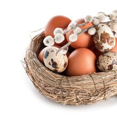 Nest with Easter eggs and willow branches on white background
