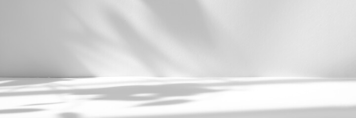 Fototapeta na wymiar Abstract white studio background for product presentation. Empty room with shadows of window and flowers and palm leaves . 3d room with copy space. Summer concert. Blurred backdrop. Banner