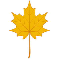 Autumn dry maple leaf, symbol Canada maple autumn fallen leaf