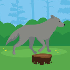 Vector illustration of a gray wolf on a stump in the forest.