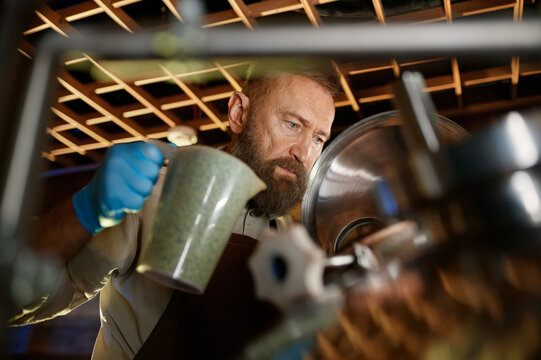 Brewer adding ferment with yeast or hop into beer tank