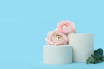 Podiums with beautiful flowers and eucalyptus branch on blue background. Hello spring