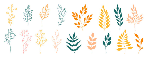 Set of leaves. Tropical plants. Herbarium. Perfect for herbal products designs.