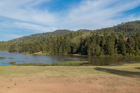 Village in a hill at Nilgiri forest Ooty. Landscape of Ooty Tamil nadu India
