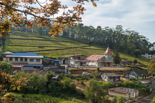 Village in a hill at Nilgiri forest Ooty. Landscape of Ooty Tamil nadu India
