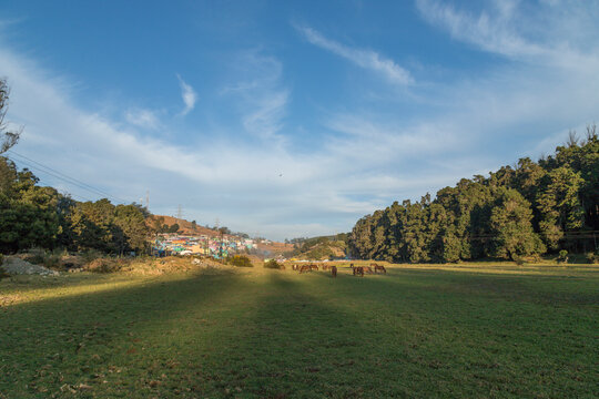 Village in a hill at Nilgiri forest Ooty. Landscape of Ooty Tamil nadu India