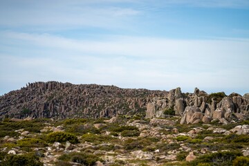 Bush walking on a mountain. Hiking in the bush in tasmania australia. Hiker hiking on mt wellington in the national park 