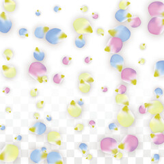 Vector Realistic Colorful Petals Falling on Transparent Background.  Spring Romantic Flowers Illustration. Flying Petals. Sakura Spa Design. Blossom Confetti. Design Elements for Wedding Decoration.
