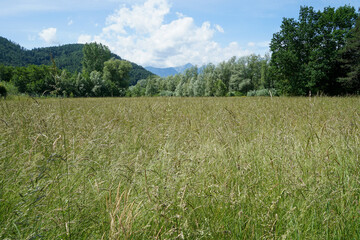 Landscape in carinthia, austria