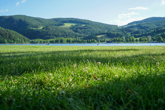 Wonderful summer scenery at Austrian lake Stubenbergsee