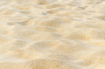 Texture of sand on beach. Background image for design. Beautiful beach sand texture as background