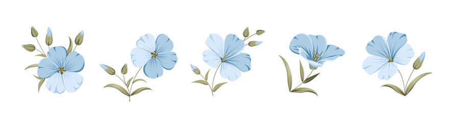 Naklejka premium Vector illustration linen flowers. Isolated white background. Individual elements drawn flax.