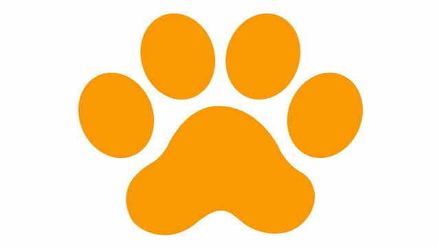 Animated cat orange footprint. A cat's paw print appears. Looped video. Vector flat illustration isolated on the white background