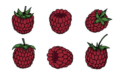 Vector set of raspberry cliparts. Hand drawn berry icon. Fruit illustration. For print, web, design, decor, logo.