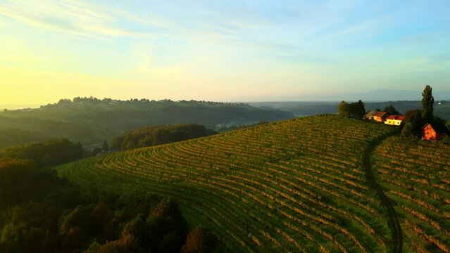 Prlekija is a picturesque region in northeastern Slovenia known for its rolling hills, lush vineyards, and rich cultural heritage.