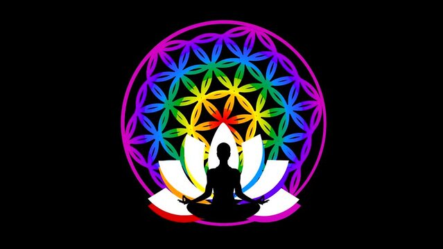 meditation lotus flower and flower of life in chakra colors