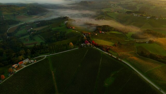 Prlekija is a picturesque region in northeastern Slovenia known for its rolling hills, lush vineyards, and rich cultural heritage.