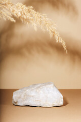 Stone podium for cosmetics or perfume and pampas grass decoration with shadows. Mockup