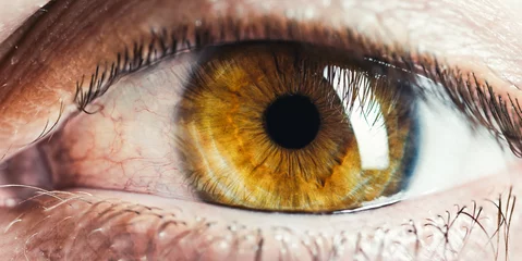 Möbelaufkleber Brown eyes of a man macro shoot © Polonio Video
