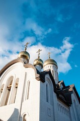 Domes of the Holy Trinity Church, Orenburg, Russia