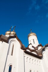 Domes of the Holy Trinity Church, Orenburg, Russia