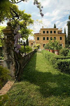 Spello, Perugia. Giardino con pergolato di glicine di Villa Fidelia.