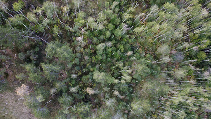 arial view of Divcibare mountain in early Autumn