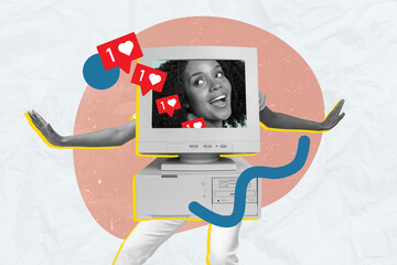 Creative artwork collage image of excited funky black white girl head pc monitor screen receive...