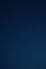 Little Moon
