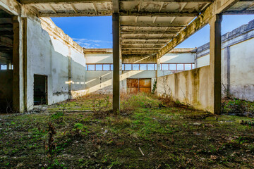 Old ruined industrial building overgrown by green moss and plants