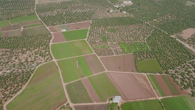 Wide aerial footage north of Bari, Italy showing the fast agriculture and olive farms.
