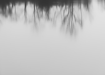 Gray-scale photo of trees reflecting on the surface of the lake