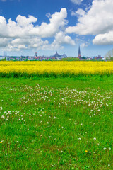 Spring summer landscape, view of an ancient German town, rapeseed field, dandelions, beautiful sky with clouds.